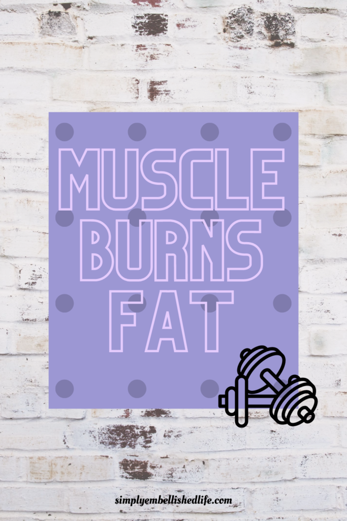  MBF (muscle burns fat)