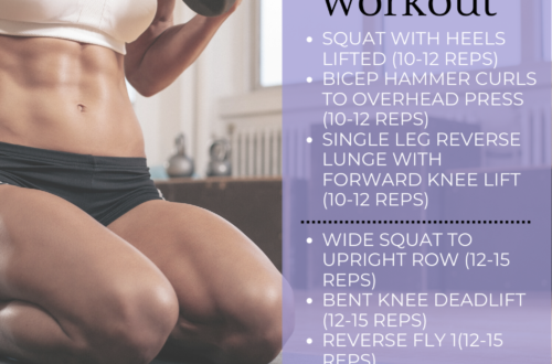 Full Body Workout