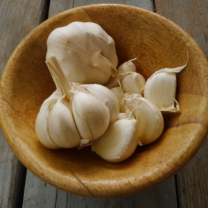 garlic to boost the immune system